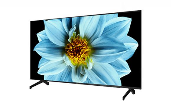 AQUOS 50 Inch Full HD Google TV - 2TC50EG1X | SHARP Malaysia